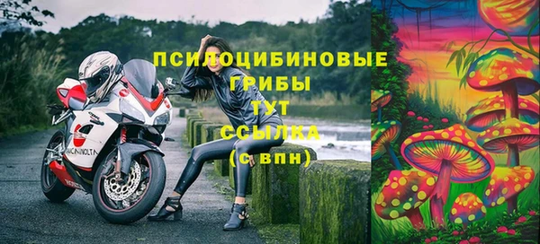 а пвп мука Билибино