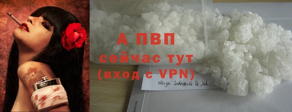 спайс Нея