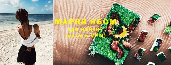 спайс Нея