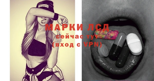 спайс Нея